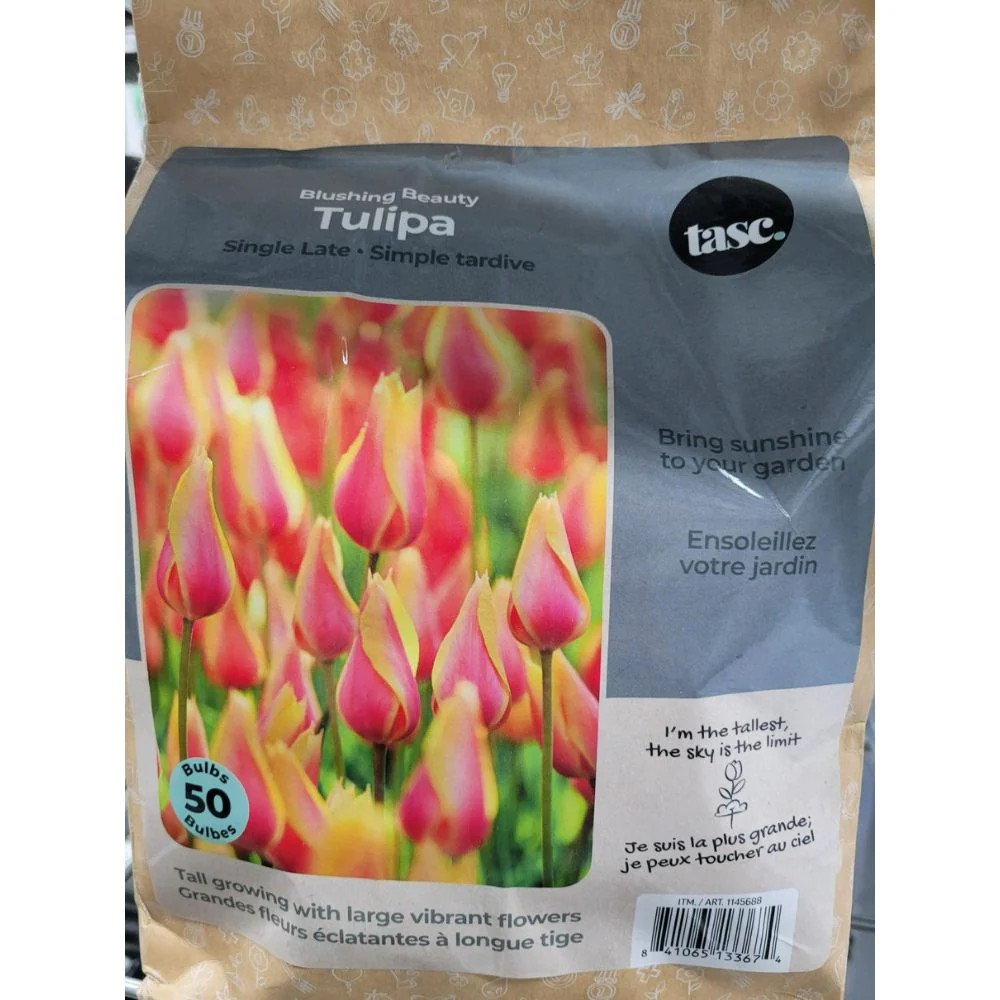 Image du produit 12