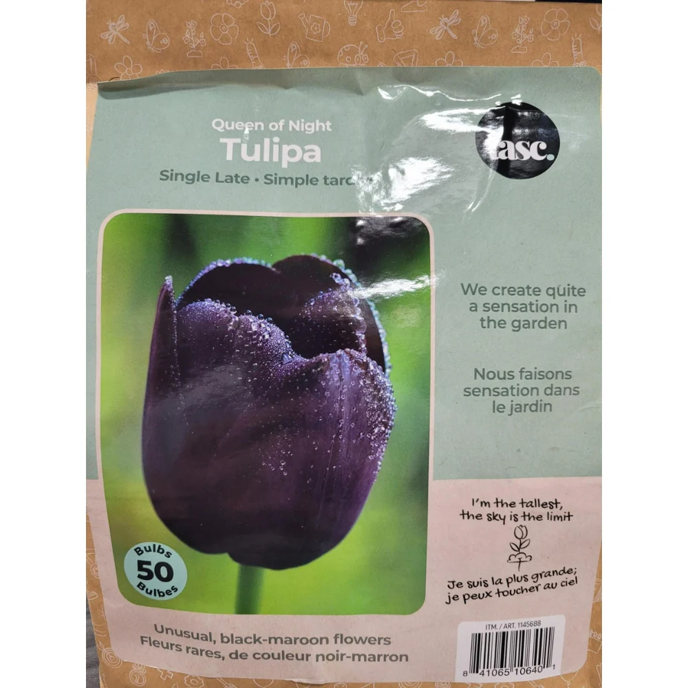 Image du produit 13