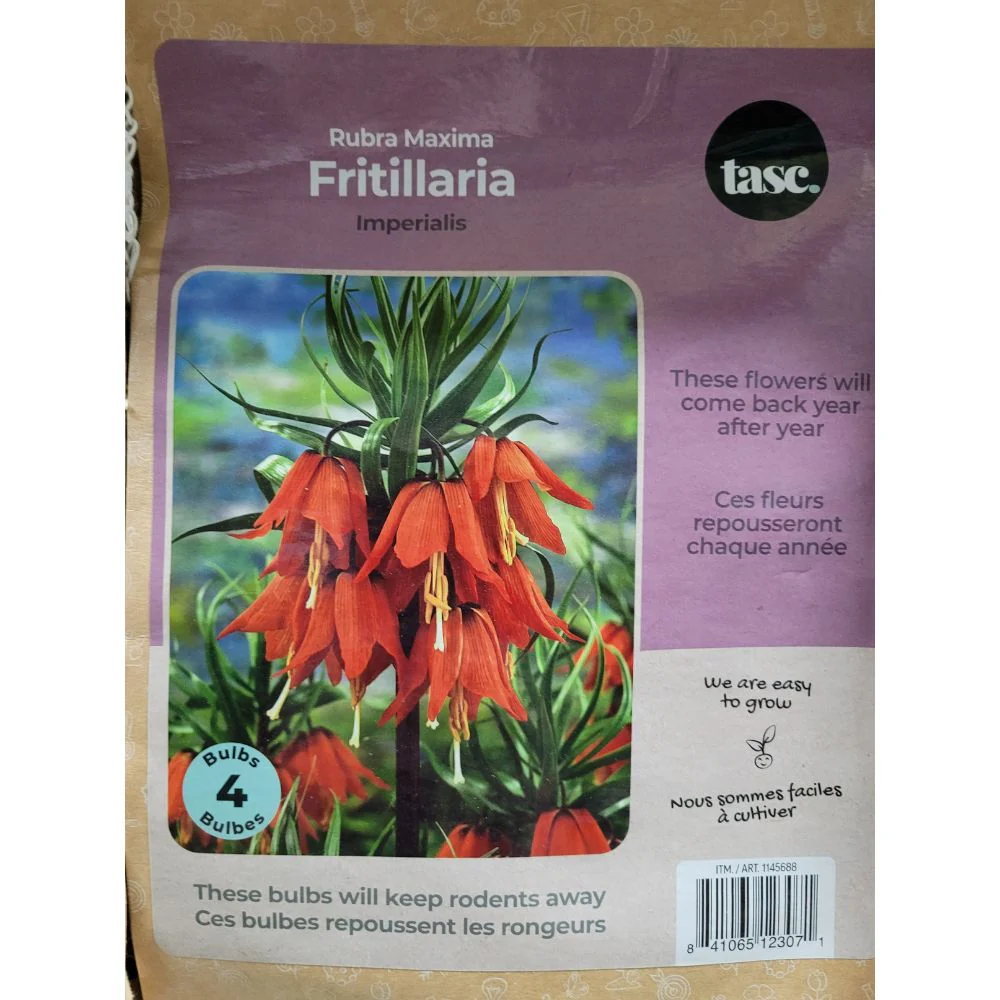 Image du produit 19
